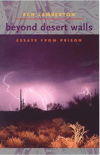 bokomslag Beyond Desert Walls