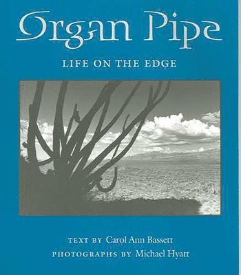 bokomslag Organ Pipe