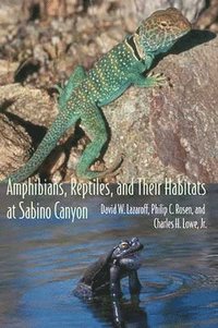 bokomslag Amphibians, Reptiles, and Their Habitats at Sabino Canyon