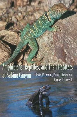 Amphibians, Reptiles, and Their Habitats at Sabino Canyon 1
