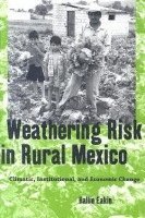 bokomslag Weathering Risk in Rural Mexico