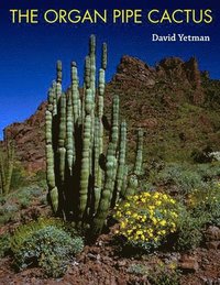 bokomslag The Organ Pipe Cactus