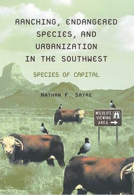 bokomslag Ranching, Endangered Species, and Urbanization in the Southwest