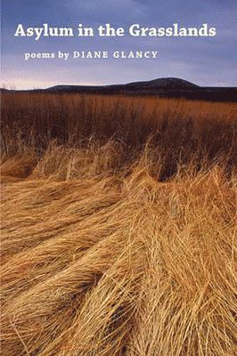 Diane Glancy - Asylum in the Grasslands, Häftad