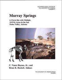 bokomslag Murray Springs