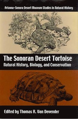 bokomslag The Sonoran Desert Tortoise