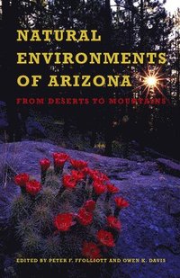bokomslag Natural Environments of Arizona