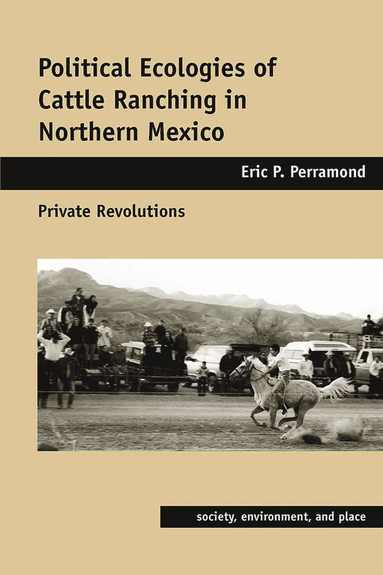 bokomslag Political Ecologies of Cattle Ranching in Northern Mexico