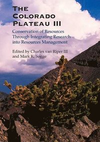 bokomslag The Colorado Plateau III