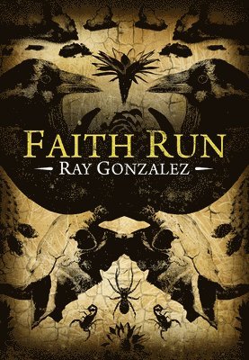 bokomslag Faith Run