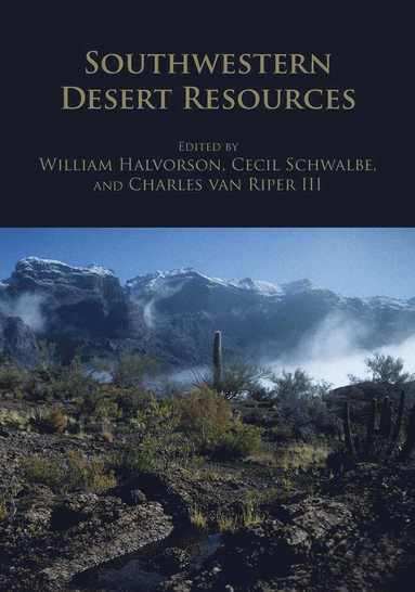bokomslag Southwestern Desert Resources
