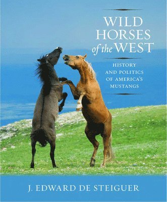 Wild Horses of the West 1