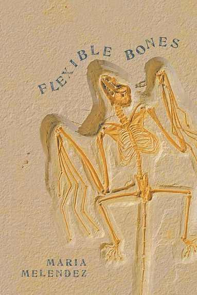 bokomslag Flexible Bones