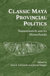 bokomslag Classic Maya Provincial Politics