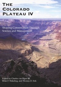 bokomslag The Colorado Plateau IV