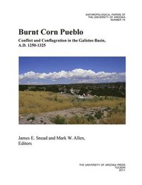 bokomslag Burnt Corn Pueblo