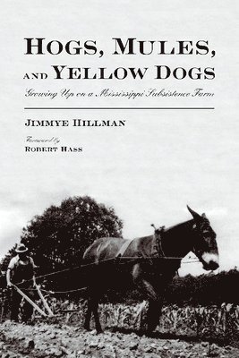 Hogs, Mules, and Yellow Dogs 1