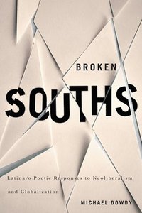 bokomslag Broken Souths