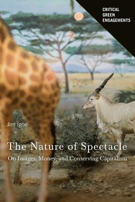 The Nature of Spectacle 1