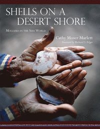 bokomslag Shells on a Desert Shore