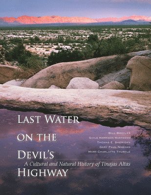 bokomslag Last Water on the Devil's Highway