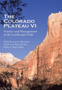 bokomslag The Colorado Plateau VI