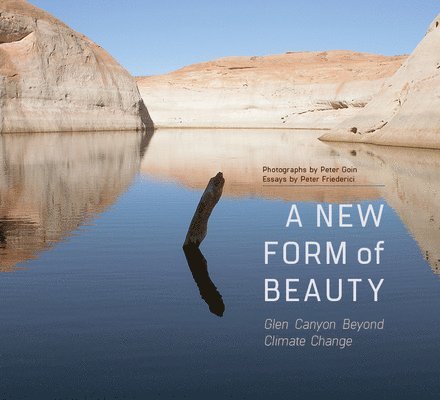 A New Form of Beauty 1