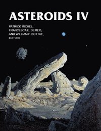 bokomslag Asteroids IV