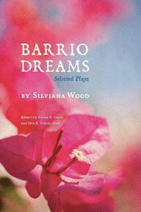 bokomslag Barrio Dreams