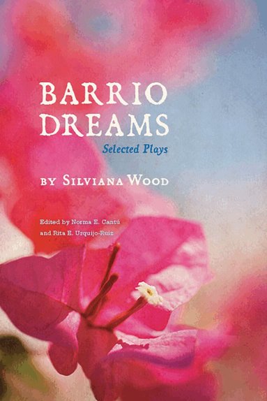 Silviana Wood, Norma E. Cantú, Rita E. Urquijo-Ruiz - Barrio Dreams, Häftad
