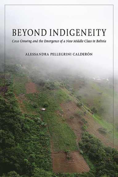 bokomslag Beyond Indigeneity