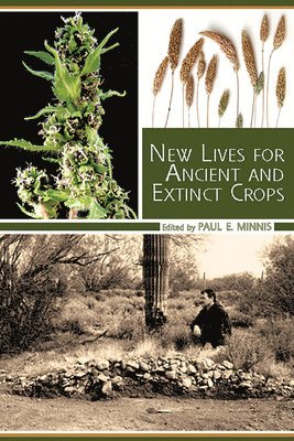 Paul E. Minnis, Paul E Minnis - New Lives for Ancient and Extinct Crops, Häftad