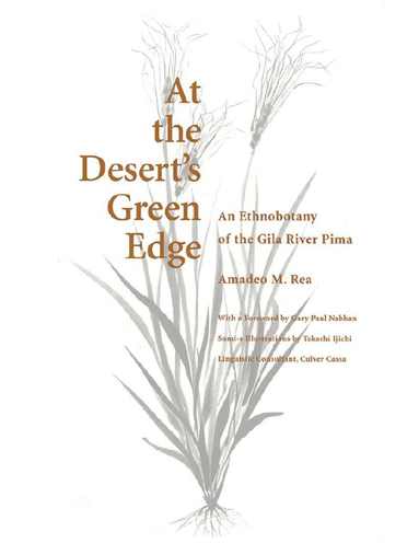 bokomslag At the Desert's Green Edge