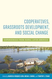 bokomslag Cooperatives, Grassroots Development, and Social Change