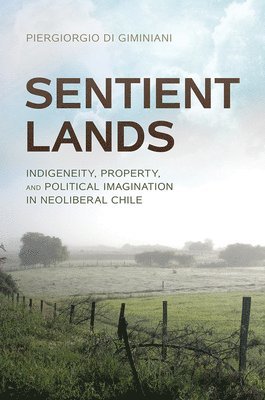 Piergiorgio Di Giminiani - Di Giminiani, P: Sentient Lands, Inbunden