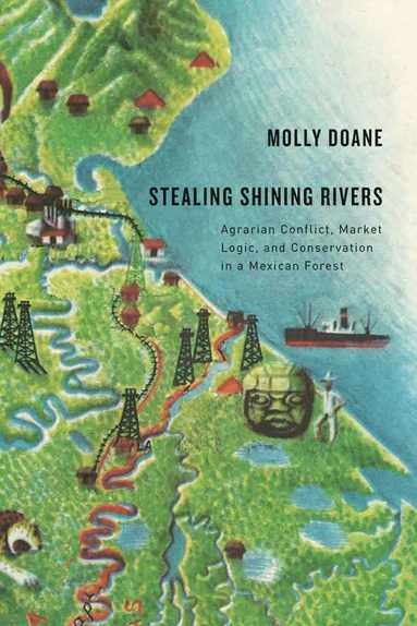 bokomslag Stealing Shining Rivers