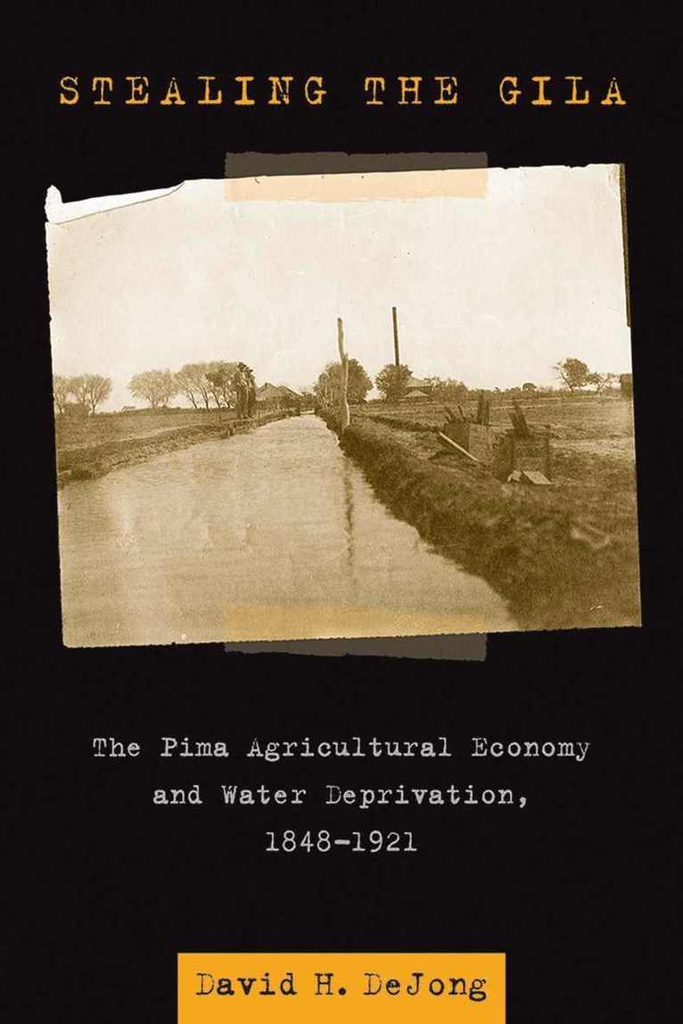 David H. DeJong, David H. Dejong, David H Dejong - Stealing the Gila, Häftad