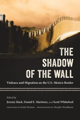 The Shadow of the Wall 1