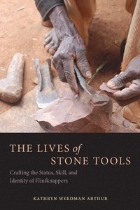 bokomslag The Lives of Stone Tools