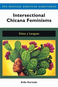 bokomslag Intersectional Chicana Feminisms