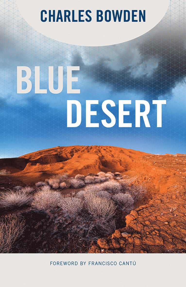 Charles Bowden - Blue Desert, Häftad