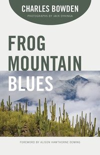 bokomslag Frog Mountain Blues