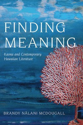 bokomslag Finding Meaning