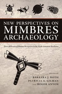 bokomslag New Perspectives on Mimbres Archaeology