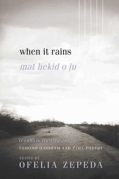 Ofelia Zepeda - When It Rains, Häftad
