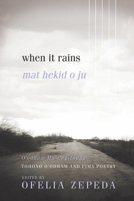 Ofelia Zepeda - When It Rains, Häftad