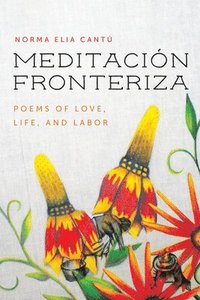 bokomslag Meditacin Fronteriza