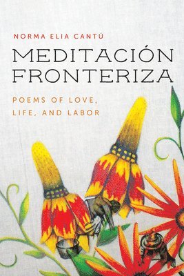 bokomslag Meditacin Fronteriza