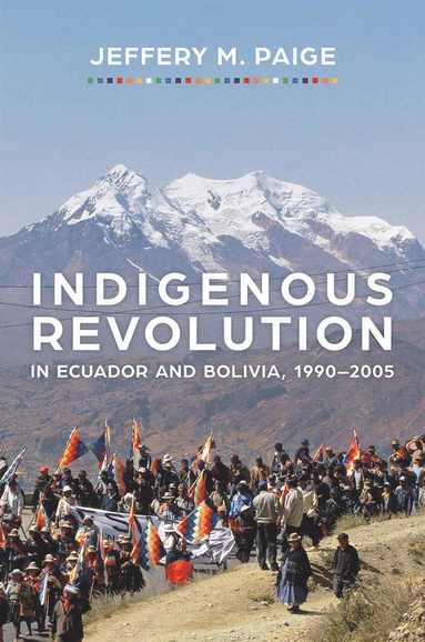 bokomslag Indigenous Revolution in Ecuador and Bolivia, 1990-2005