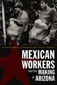 bokomslag Mexican Workers and the Making of Arizona